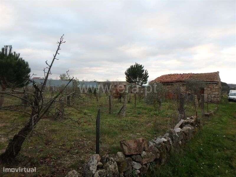 Quinta Estúdio / Seia, Santa Marinha e São Martinho - Grande imagem: 4/18