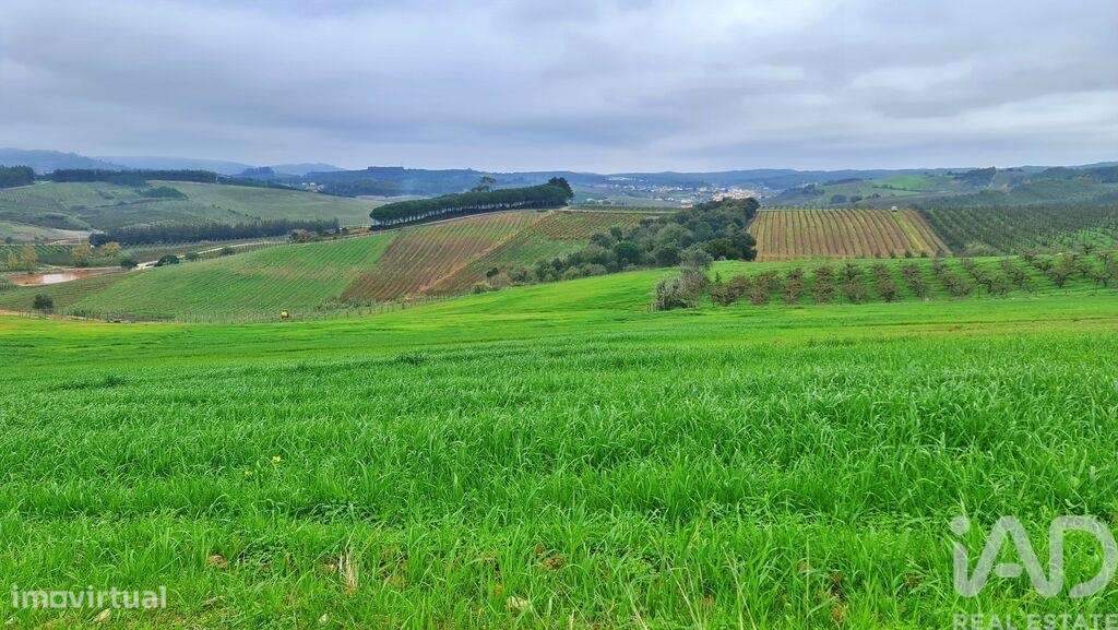 Quinta em Peral de 92520,00 m2 - Grande imagem: 5/30