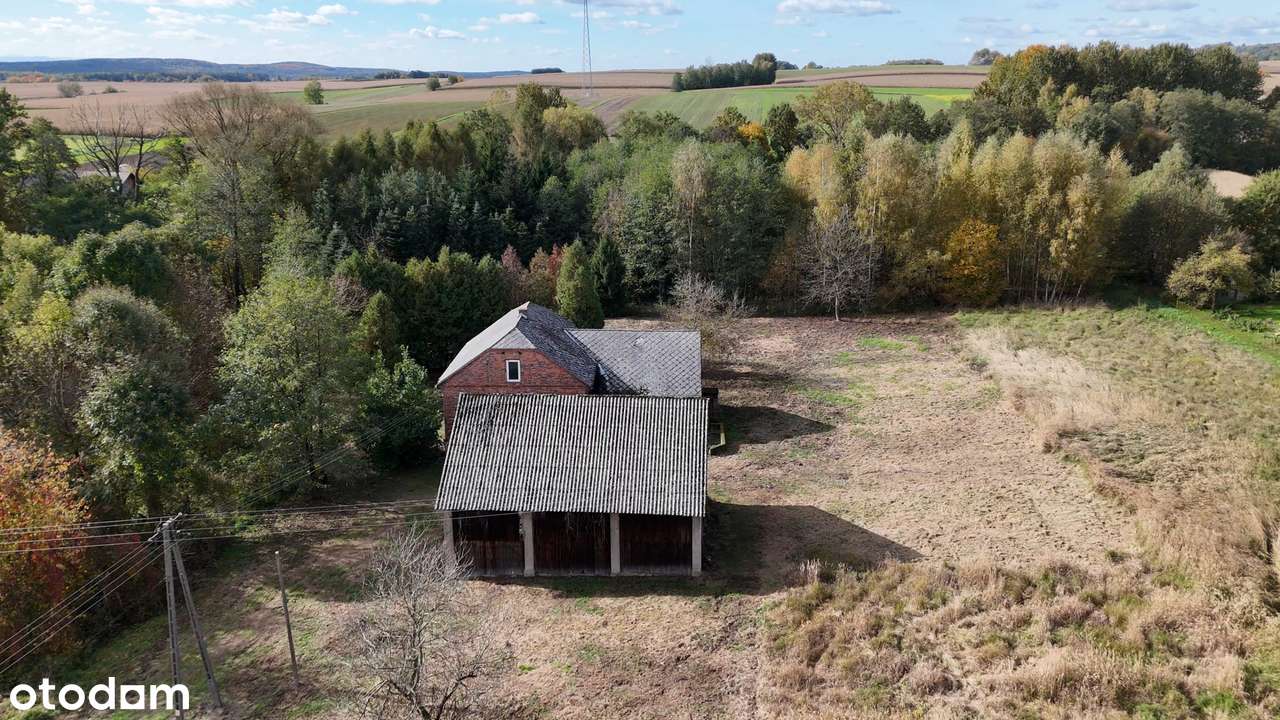 Działka 69 arów z zabudowaniami i lasem – Czułówek-8