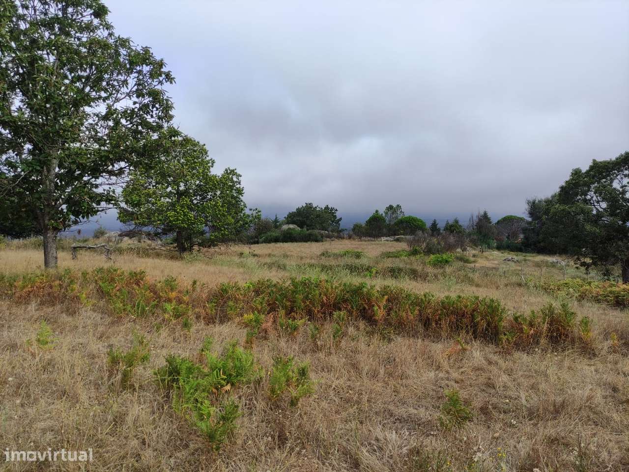 Quintinha  Venda em Figueiró da Serra e Freixo da Serra,Gouveia - Grande imagem: 5/6