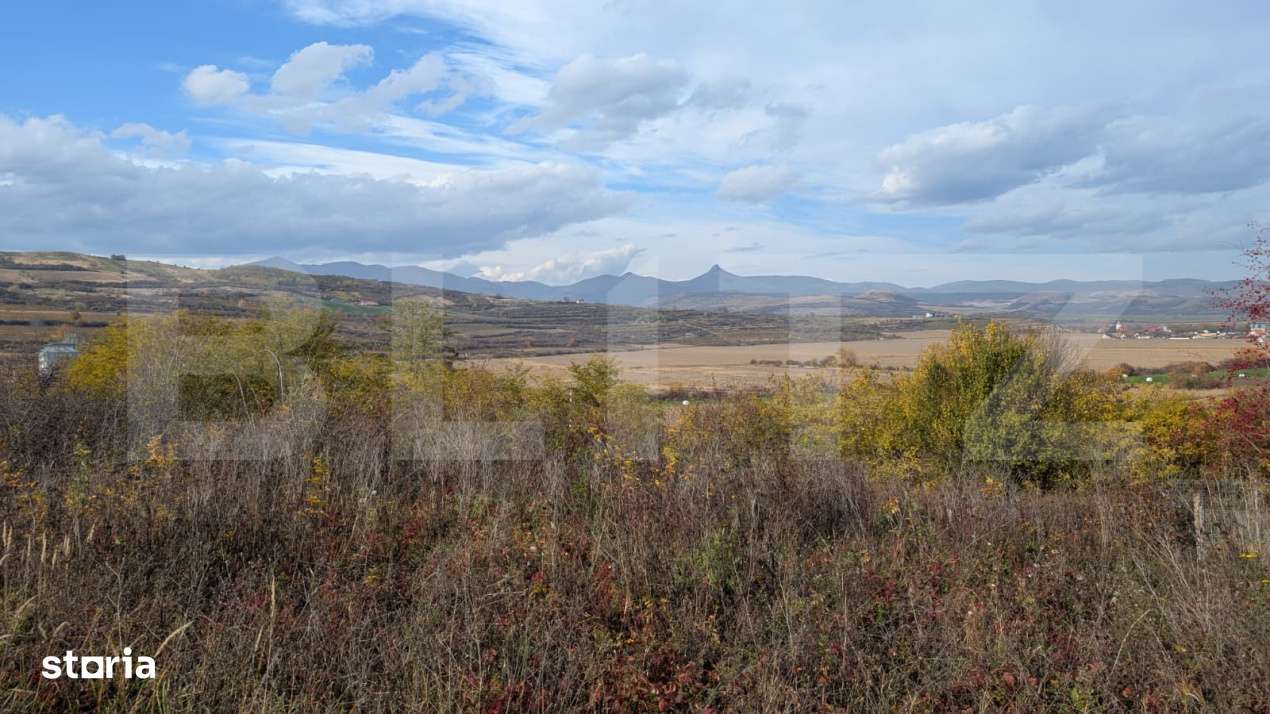 Teren pretabil pentru cabana - Imagine principală: 4/4