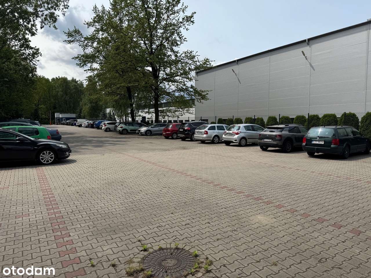 Hale produkcyjno magazynowe w Zgierzu – 18840m² powierzchni użytkowej! - Pełny obrazek: 4/18