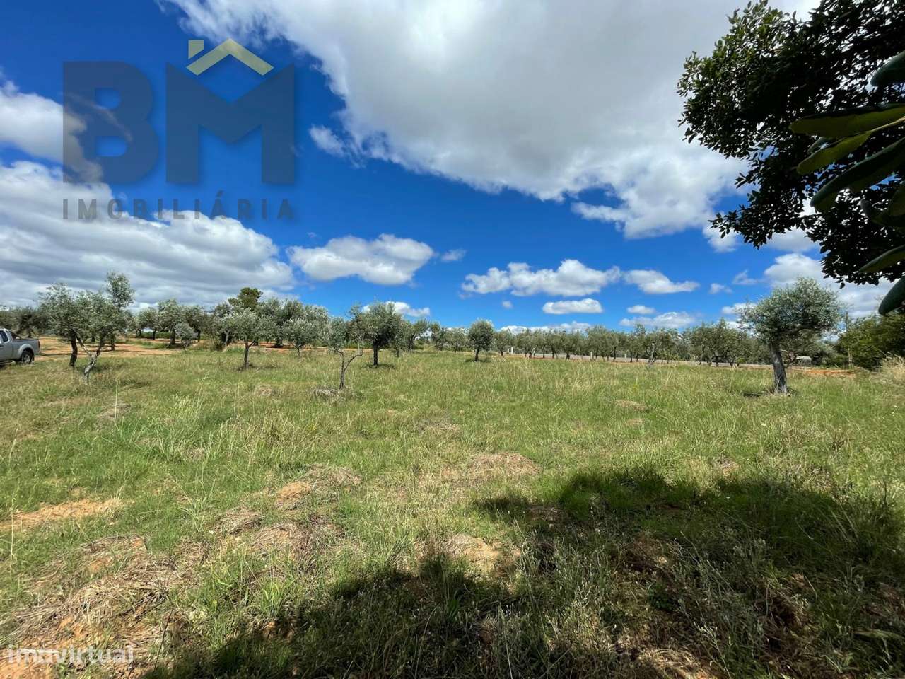 Terreno Rústico  Venda em Ninho do Açor e Sobral do Campo,Castelo Bran - Grande imagem: 3/10