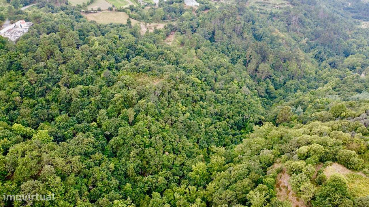 Terreno  para venda - Grande imagem: 4/10