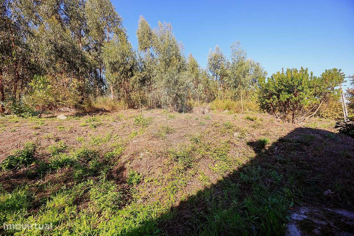 Terreno  para venda - Grande imagem: 5/7