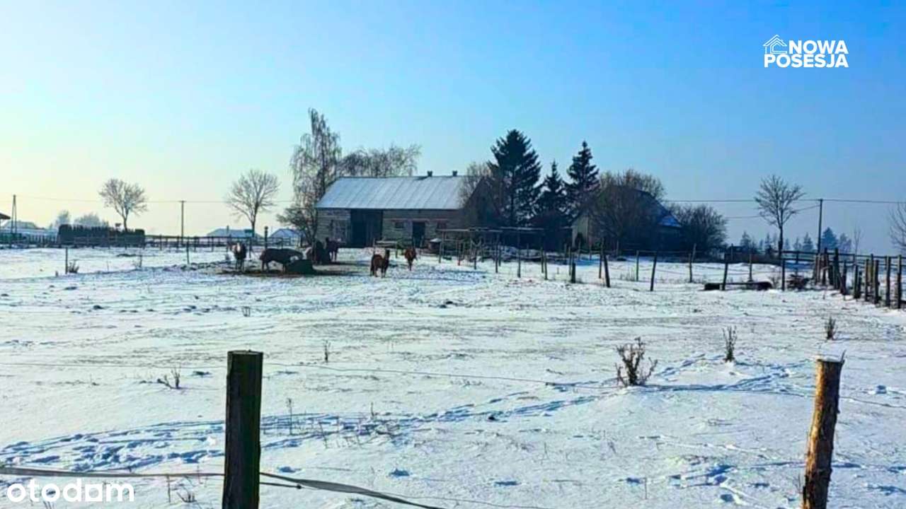 Dom, duża działka, stajnia-1