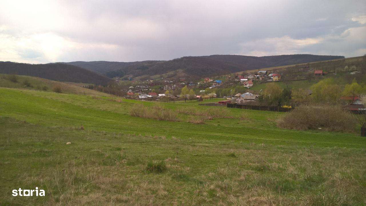 Vanzare teren Luncani, Bacau-5