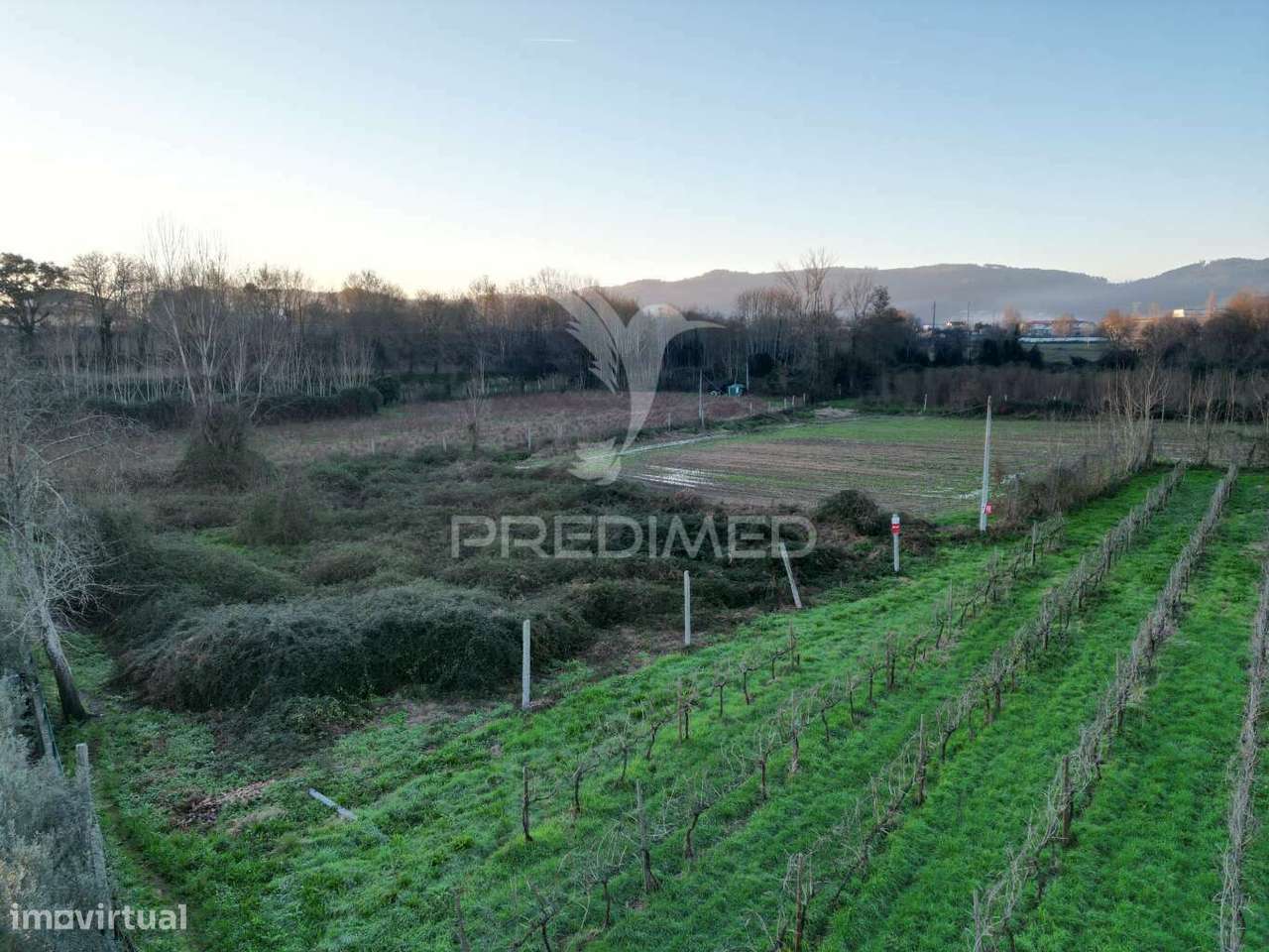Terreno em Briteiros Santo Estêvão - Guimarães - Grande imagem: 4/10