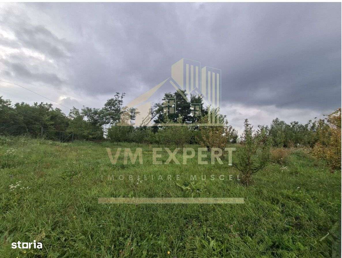 TEREN 20.621 MP CAMPULUNG - Imagine principală: 3/7