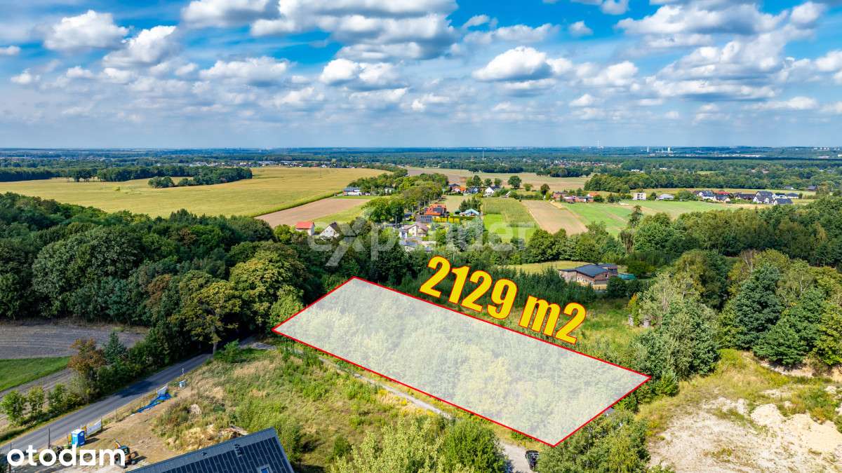 ul. Grudniowa, Zielona i Spokojna okolica! - Pełny obrazek: 4/19