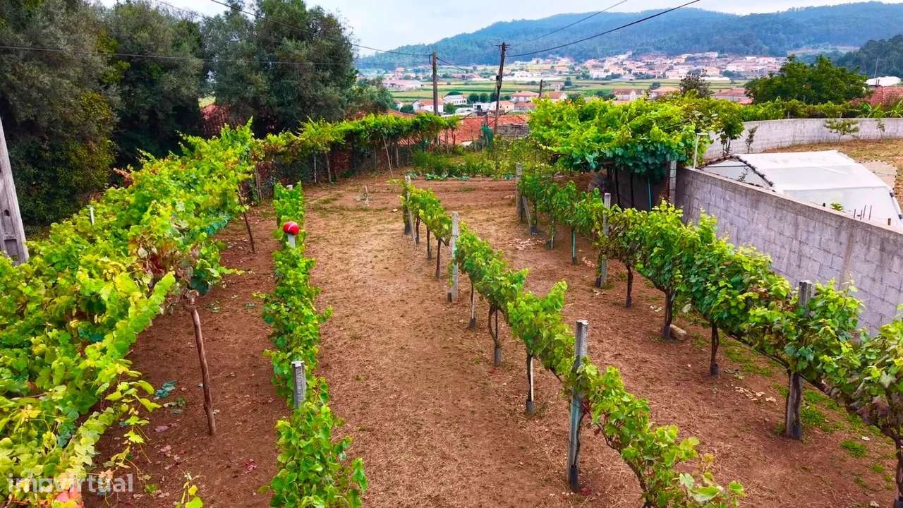 Terreno Rustico C/ viabilidade de construção com 1490M2 Vilar de Figos-4