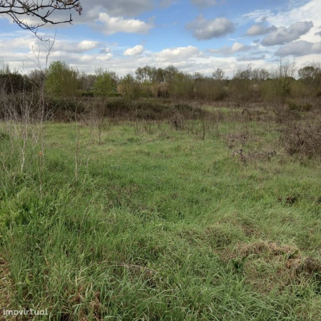 Terreno rústico de 5220m2 junto à estação da Lamarosa | Mouchões