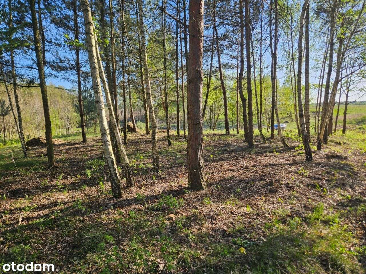 OSADA nad jeziorem (media, las, staw, mpzp)-5