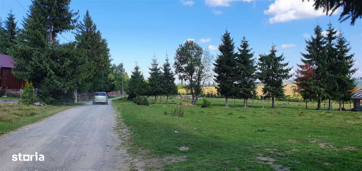 Oportunitare | Teren 1ha cu PUZ | Belis-4