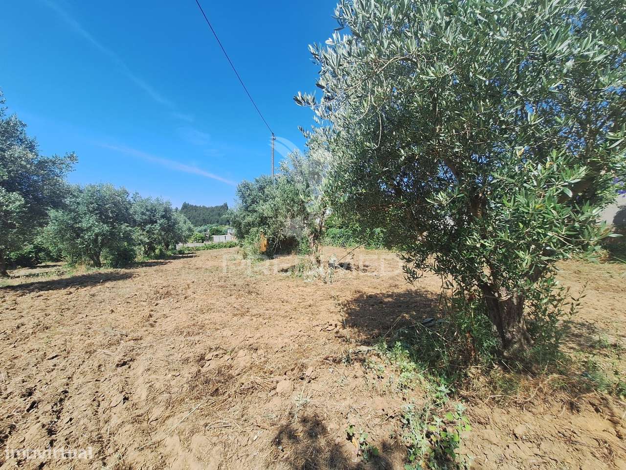 Terreno, Madeiras, Vila Nova da Barquinha - Grande imagem: 5/24
