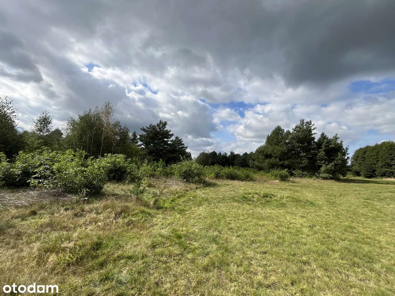 Działki o różnych metrażach w lesie dogodny dojazd Września - Pełny obrazek: 5/15