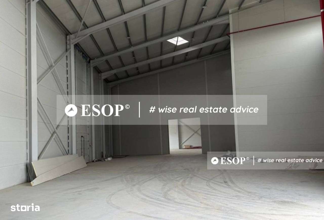 Hala de vanzare,  zona Mogosoaia, 1500mp, ID 15424, - Imagine principală: 5/11