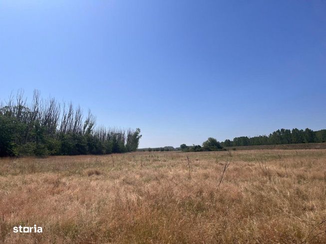 Teren agricol cu potential – 24.834 mp, zona Podul Jiului-13