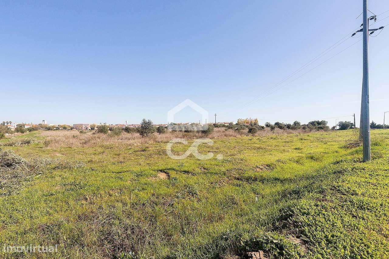 Terreno com 51.250 m2 para construção | Reguengos de Monsaraz - Grande imagem: 5/21