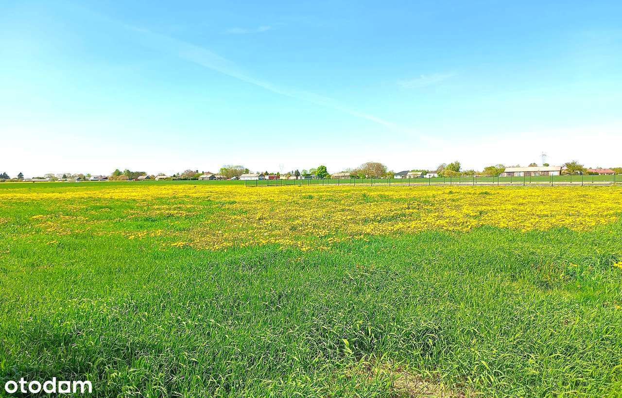 Działka Łapiguz Zamość - Pełny obrazek: 4/11