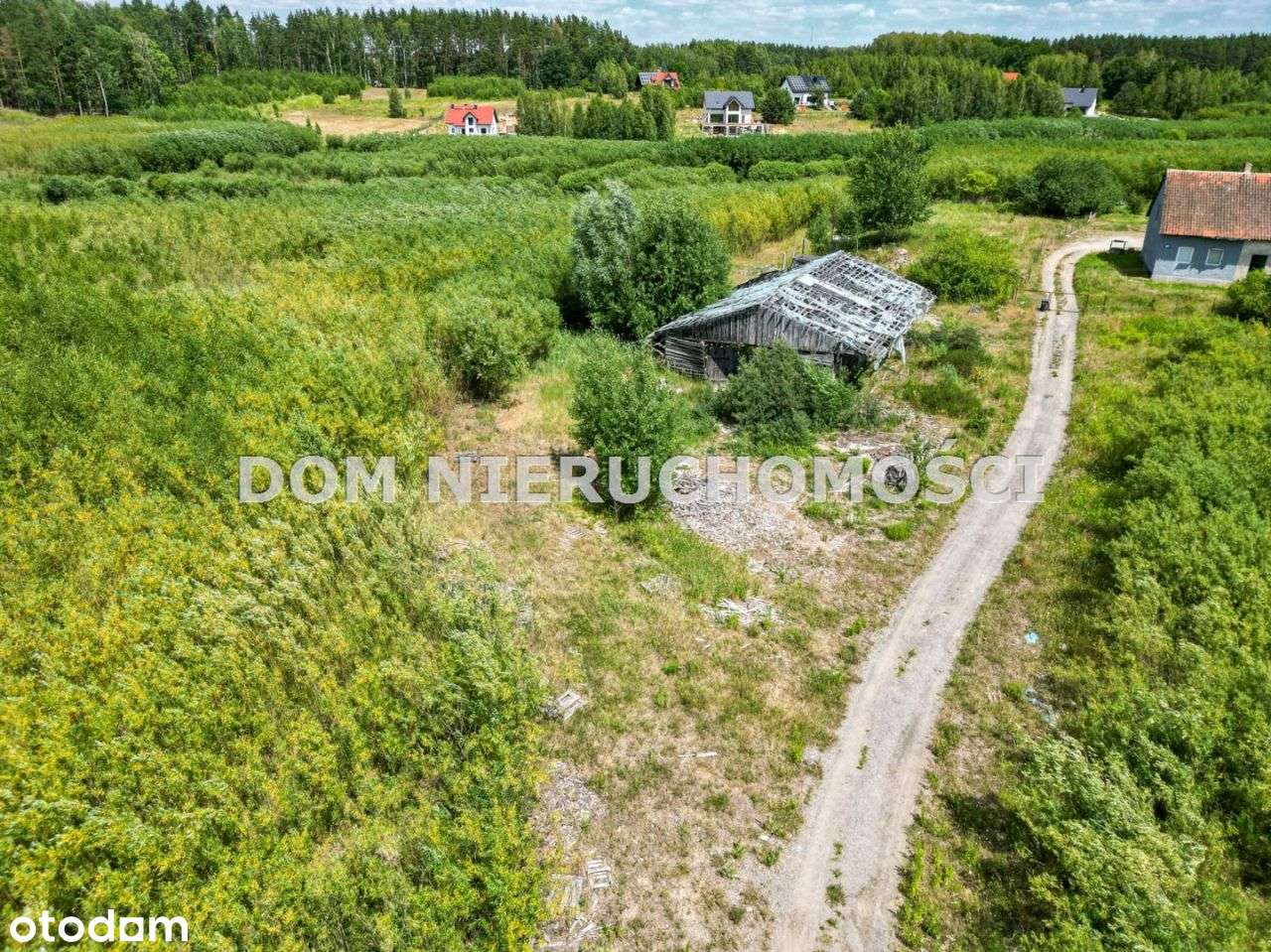 Świetna działka inwestycyjna w Dorotowie-4