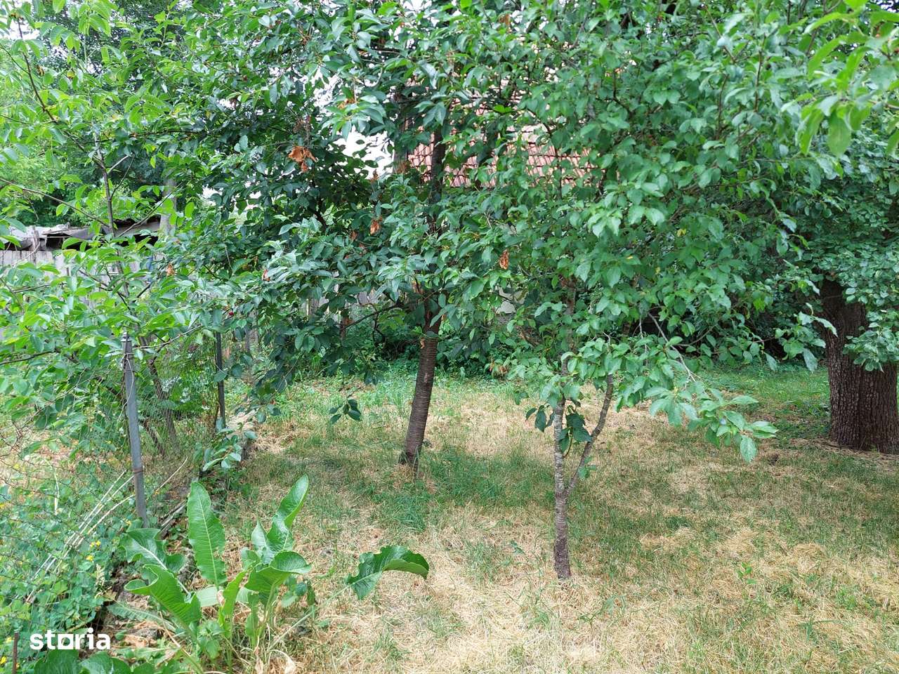 Vând Grădină de 2000 mp în Centrul Satului Cuzăplac la nr 249-10