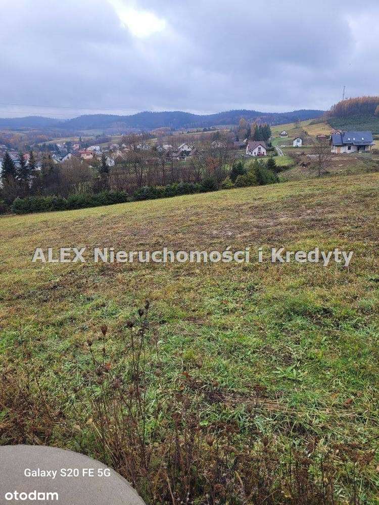 Pięknie położona działka w Bieszczadach - Pełny obrazek: 2/10