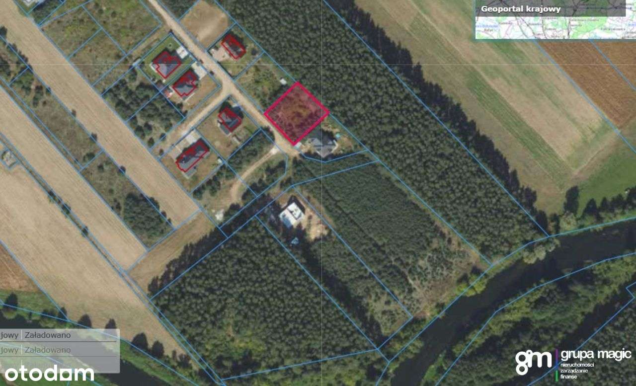 Działka ze ścianą lasu, Podzamek Golubski - Pełny obrazek: 5/15