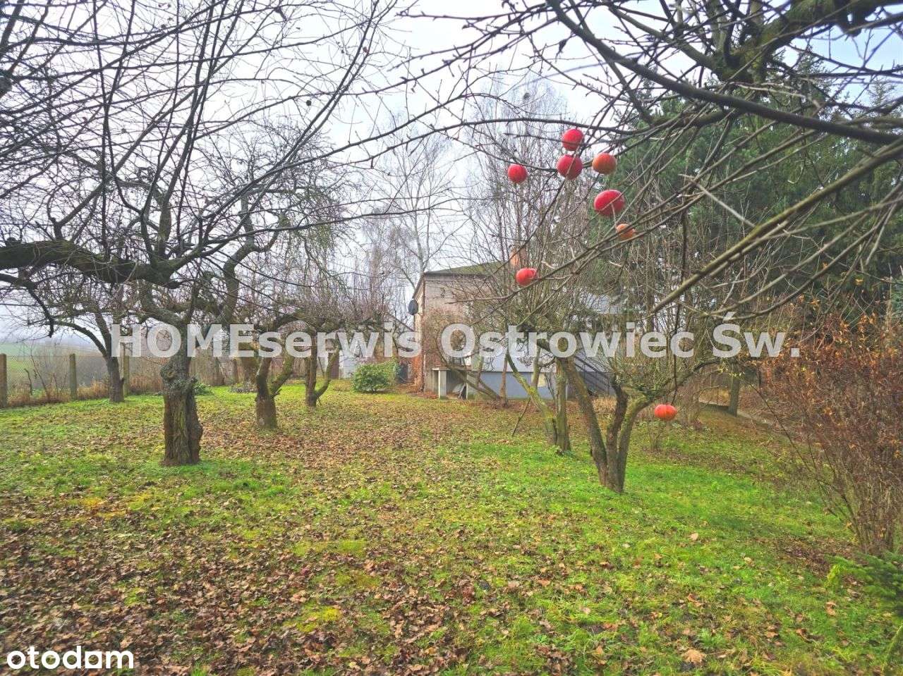 Dom 115 m2 działka 4900 m2, domek gościnny, garaż-11