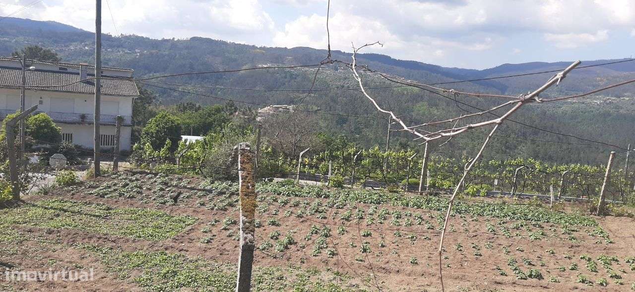 Terreno – Oliveira de Frades - Grande imagem: 3/29