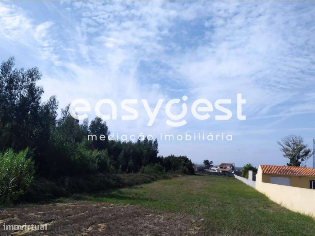 Excelente Terreno em Mira com capacidade construtiva em local calmo - Grande imagem: 3/3