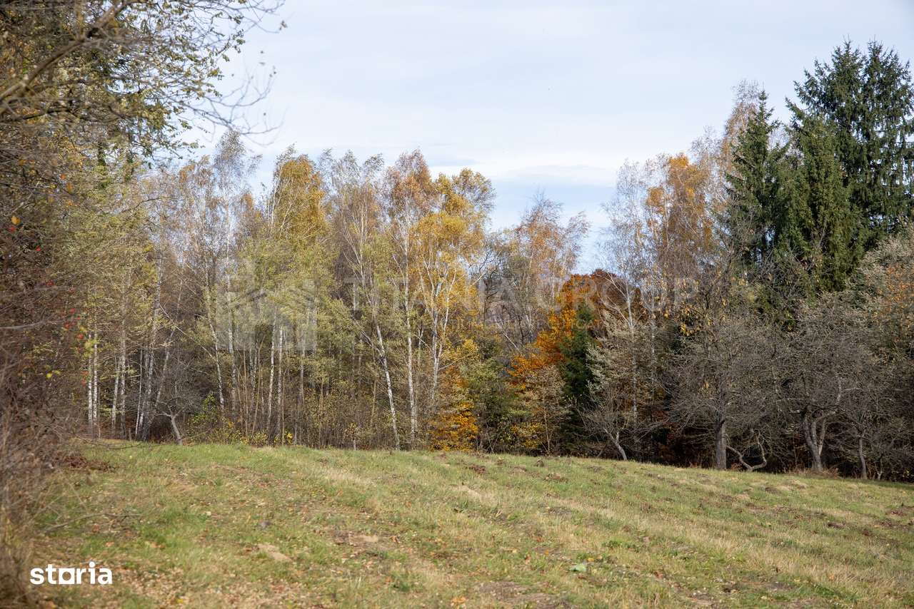 Teren intravilan, cu PUZ, Bran Tohanita,  SE ACCEPTĂ ȘI SCHIMB-5