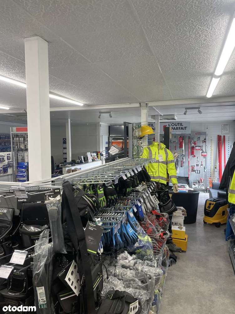 Hala usługowo-magazynowo-produkcyjna - Pełny obrazek: 4/10