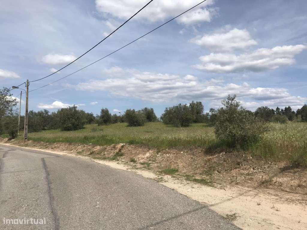 Quinta com vista sobre a cidade - Grande imagem: 5/10