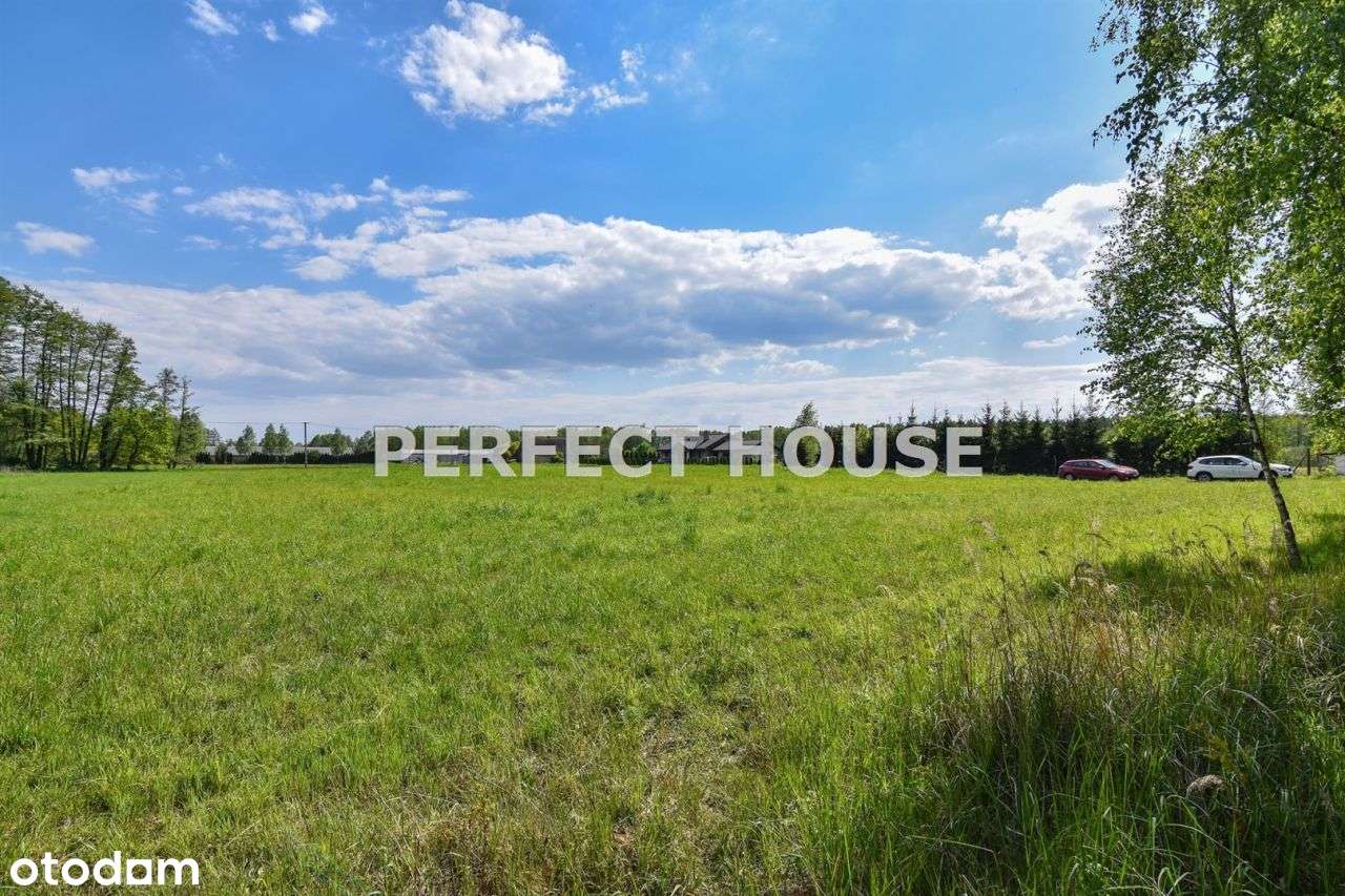 Działka przy lesie blisko Sierakowa dobra cena - Pełny obrazek: 4/5