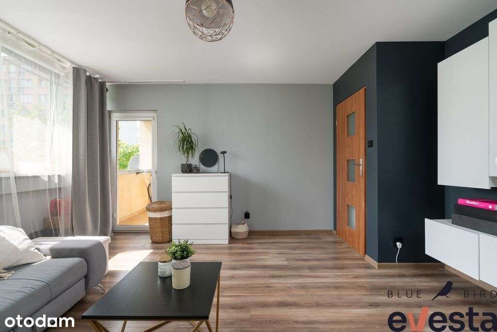 3pokoje/Gotowe do wprowadzenia/Świetna lokalizacja - Pełny obrazek: 5/14