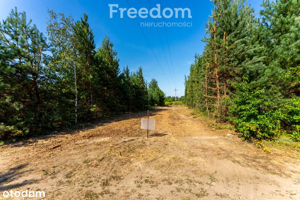 Działka 1000m² w Żelechowie - MPZP, S8 - Pełny obrazek: 5/7