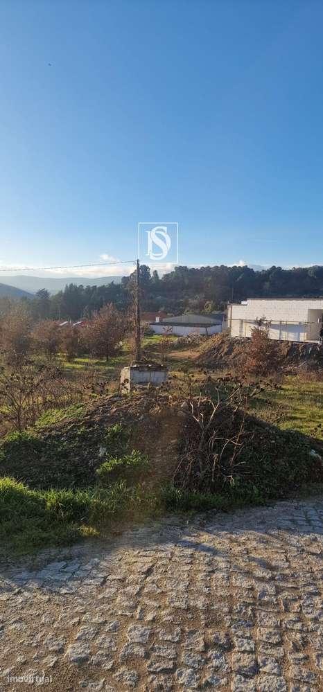 Terreno em Rossas-Lamego - Grande imagem: 4/8