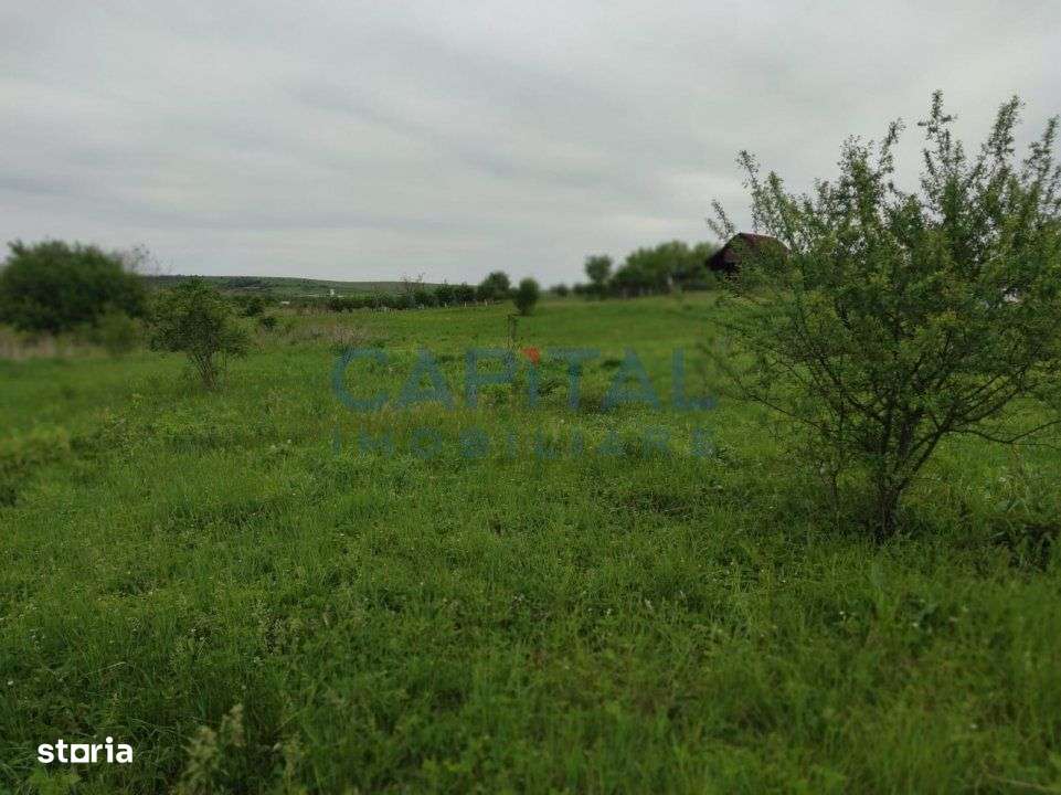 Comision 0%! Oportunitate, teren intravilan, 800 mp Masterplan, Sopor - Imagine principală: 2/5