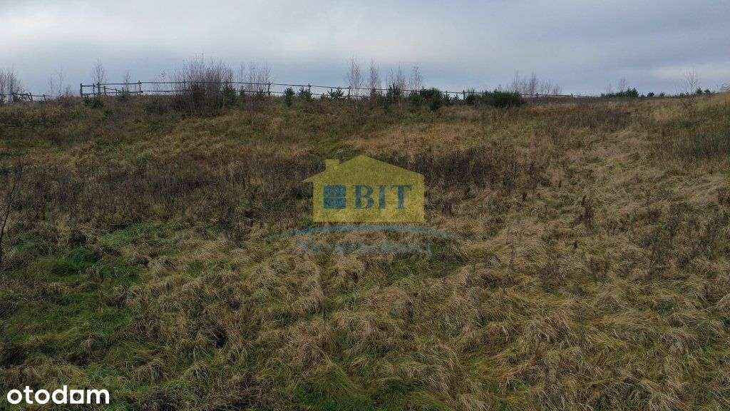 Działka 1,1041 ha nad jeziorem Ostrowiec-19