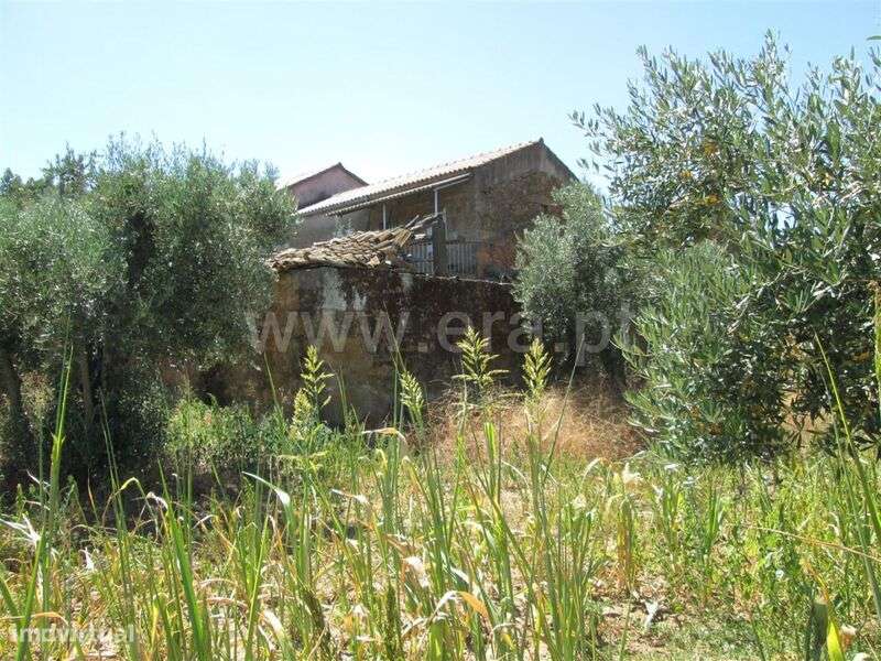 Quinta Estúdio / Fundão, Enxames - Grande imagem: 5/7