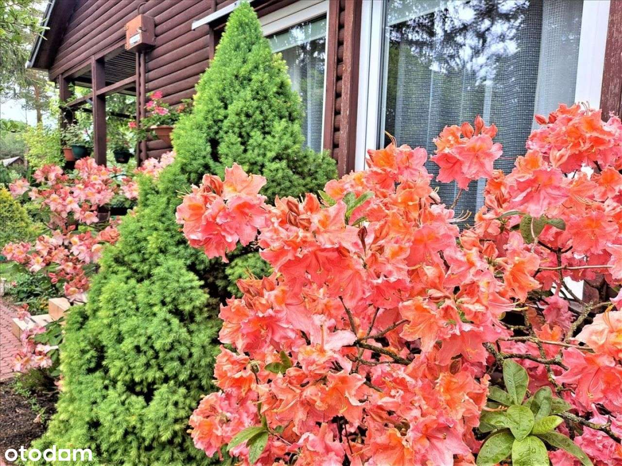 Wspaniała działka rekreacyjna pod Węgrowem. - Pełny obrazek: 3/15