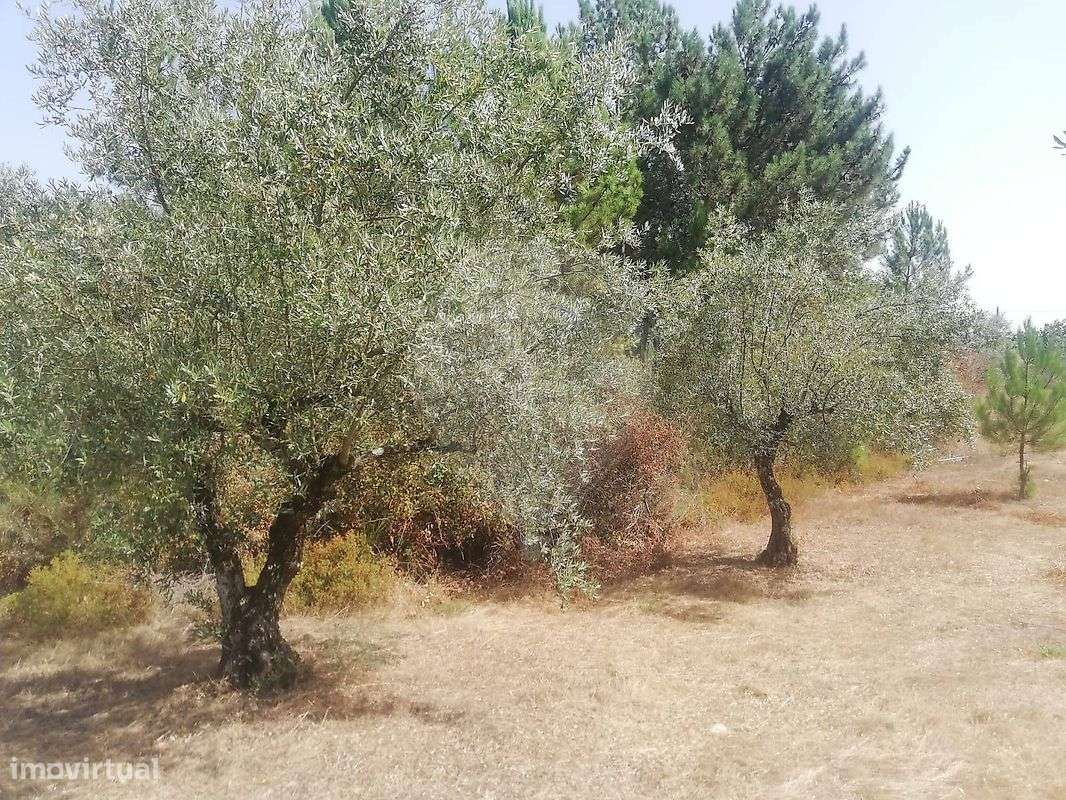 Terreno  para venda - Grande imagem: 5/5