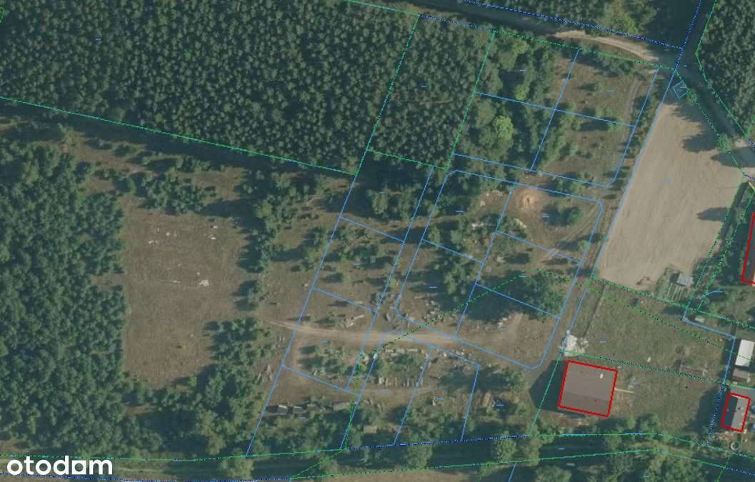 Działki PREMIUM wśród lasów BEZ POŚREDNIKÓW - Gola, gmina Sława - Pełny obrazek: 4/7