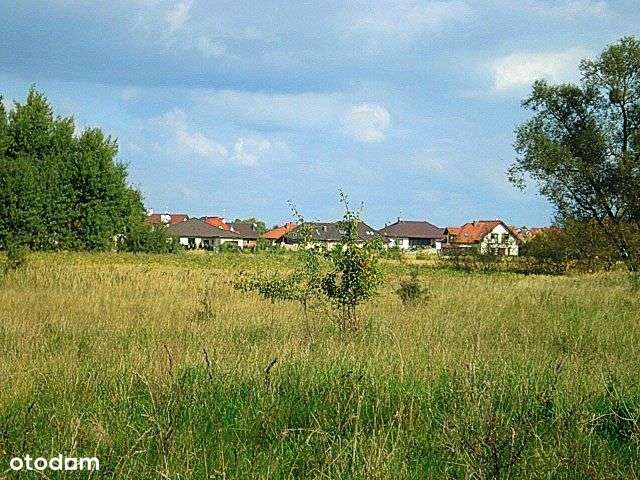 Działka w pobliżu lasu. - Pełny obrazek: 5/11