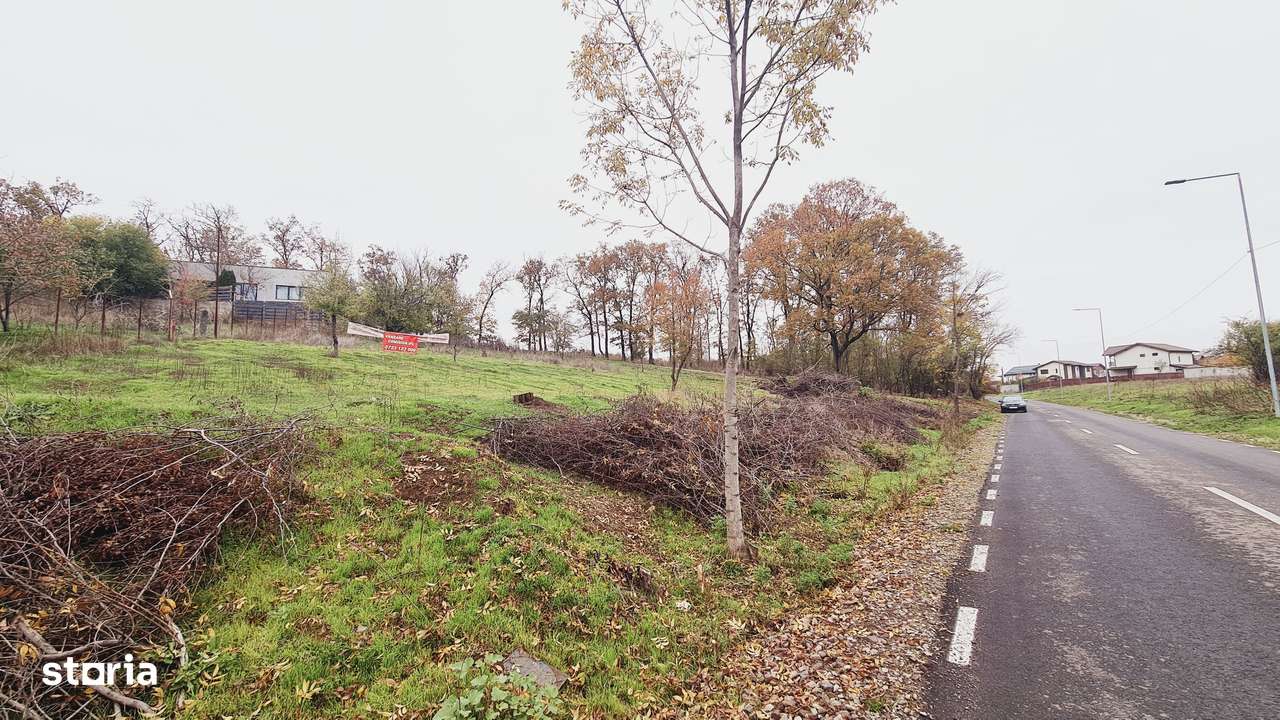 Teren intravilan Branesti, in apropiere de padure si lac-3