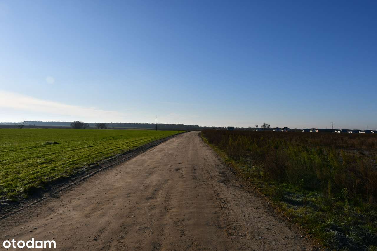 Narożnikowa działka pod lasem, ogród od południa - Pełny obrazek: 5/7