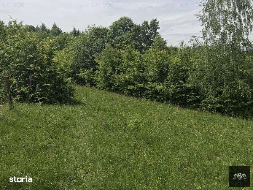 Vand teren in Albestii de Muscel faneata-pasune, partial impadurit - Imagine principală: 3/10