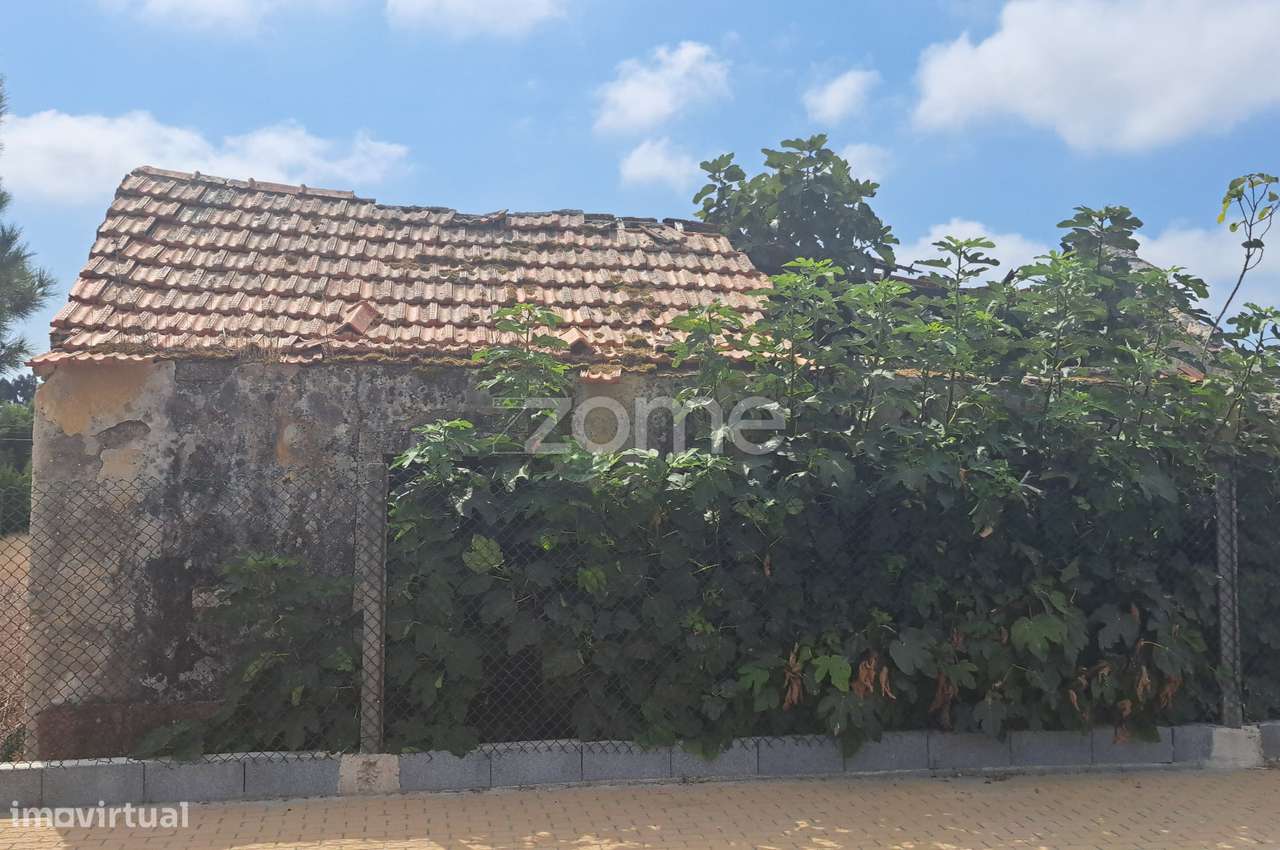 TERRENO PARA CONSTRUÇÃO CARREIROS, SANGUINHEIRA, CANTANHEDE. - Grande imagem: 5/25