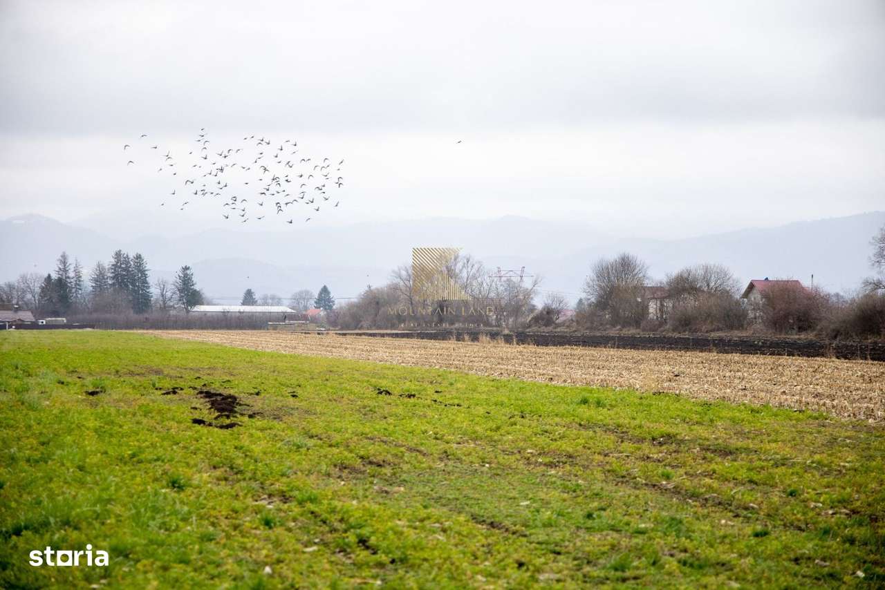 Lot de teren intravilan – 467 mp | Stupini, Strada Albinelor-9